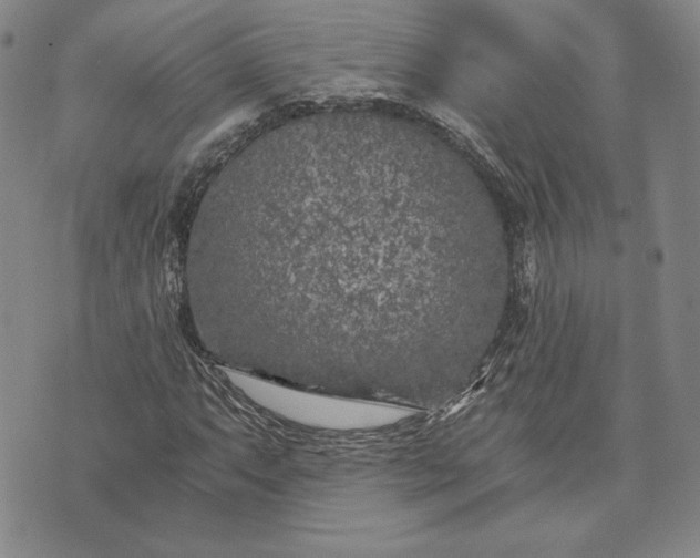 X0000072961063200608041147