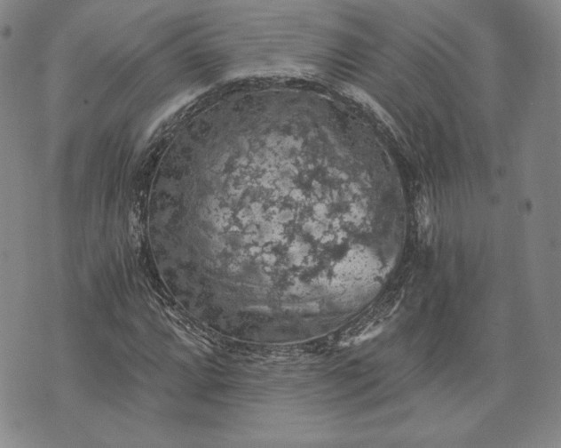 X0000072961064200608041147