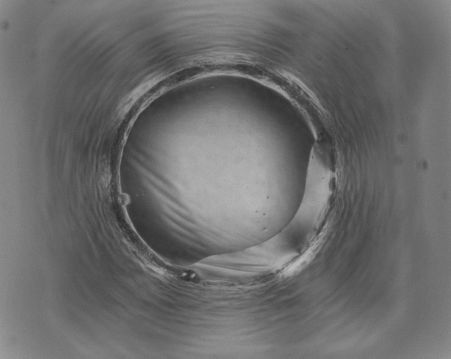 X0000072961065200608041147