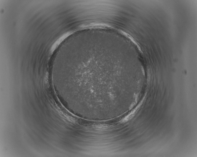 X0000072961066200608041147