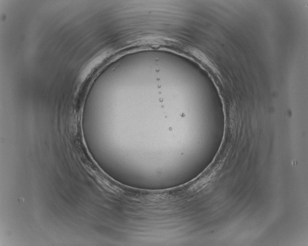 X0000072961067200608041147