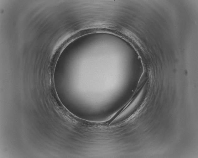 X0000072961069200608041147