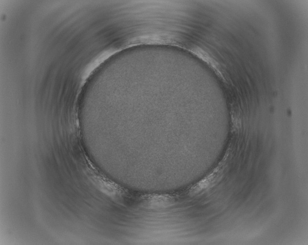 X0000072961070200608041147