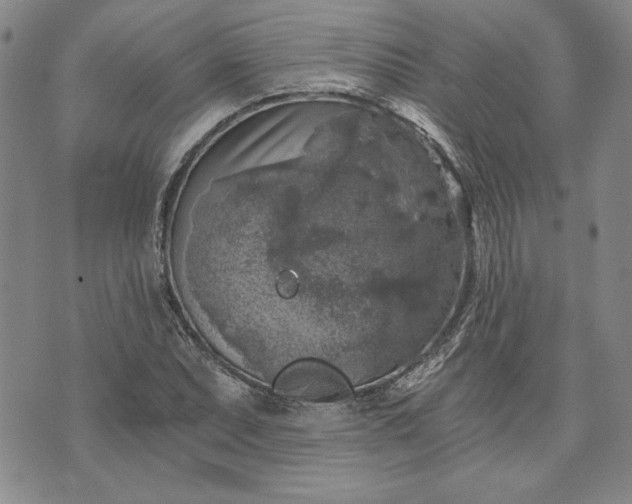 X0000072961071200608041147