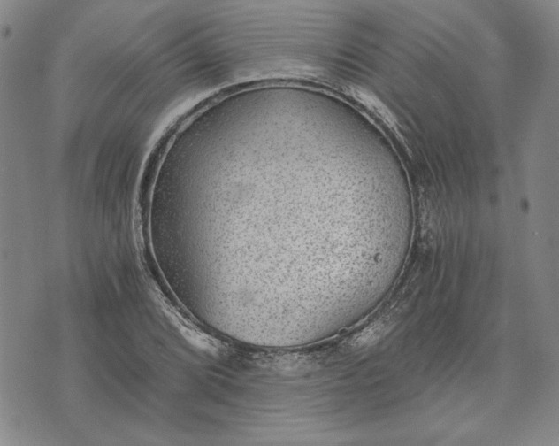 X0000072961072200608041147