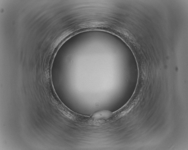 X0000072961073200608041147