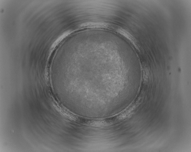 X0000072961074200608041147