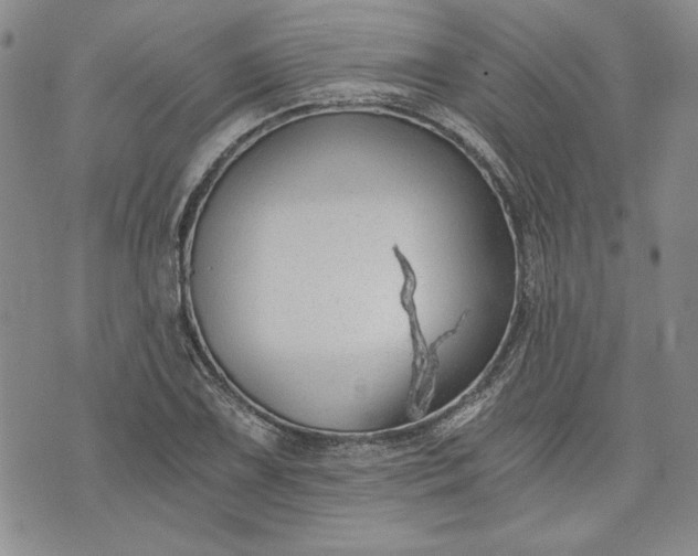 X0000072961075200608041147