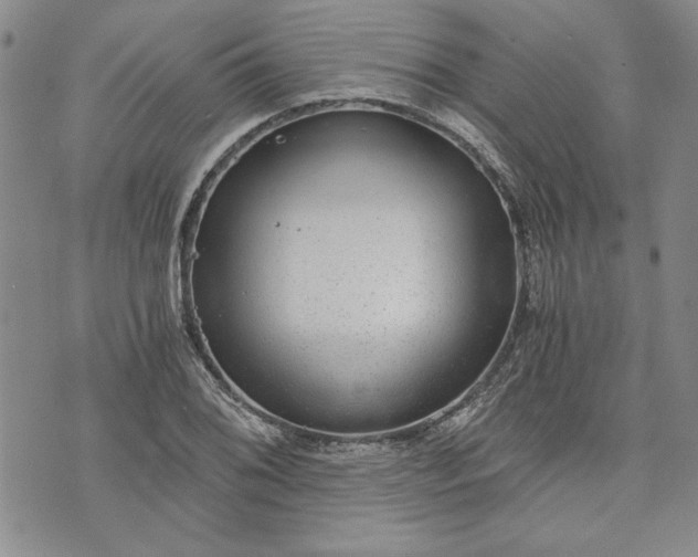 X0000072961076200608041147