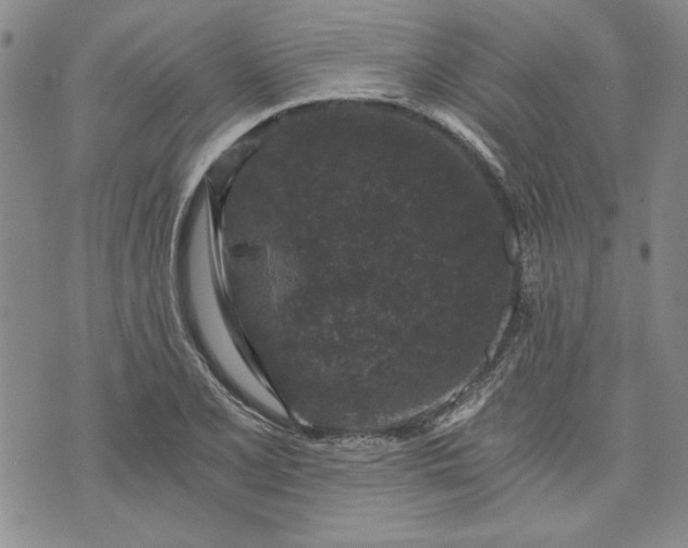 X0000072961077200608041147