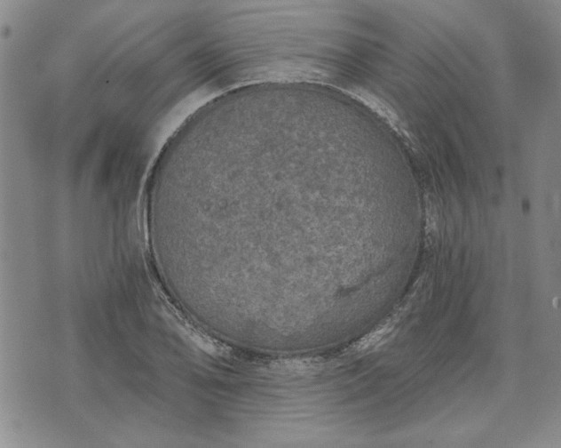 X0000072961078200608041147