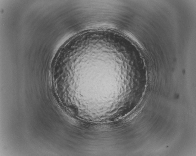 X0000072961079200608041147