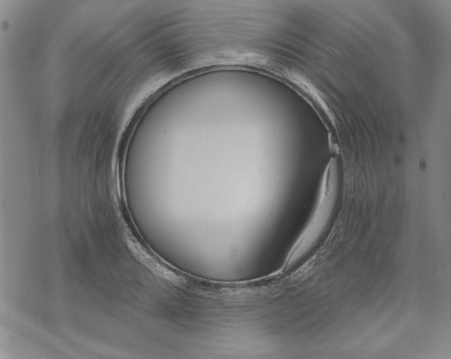 X0000072961080200608041147