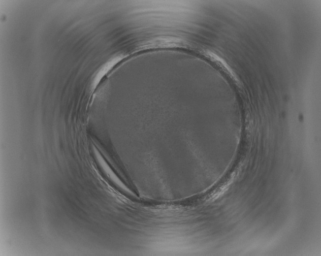 X0000072961081200608041147