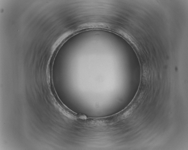 X0000072961082200608041147