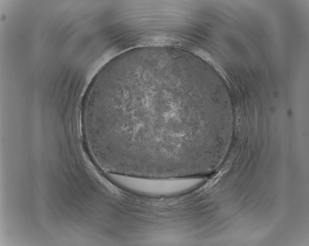 X0000072961083200608041147