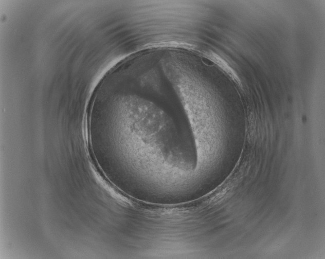 X0000072961084200608041147