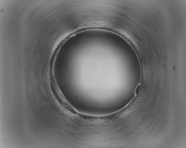 X0000072961085200608041147