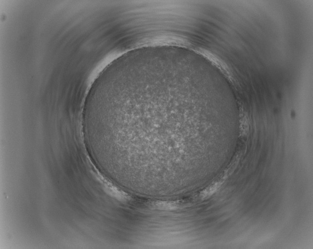 X0000072961086200608041147