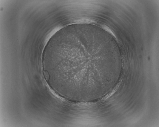 X0000072961087200608041147