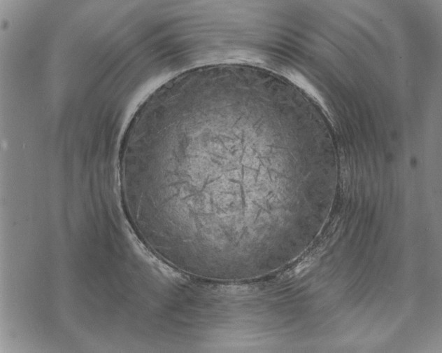 X0000072961088200608041147