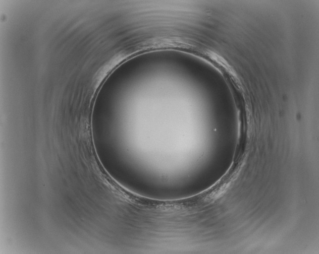 X0000072961089200608041147