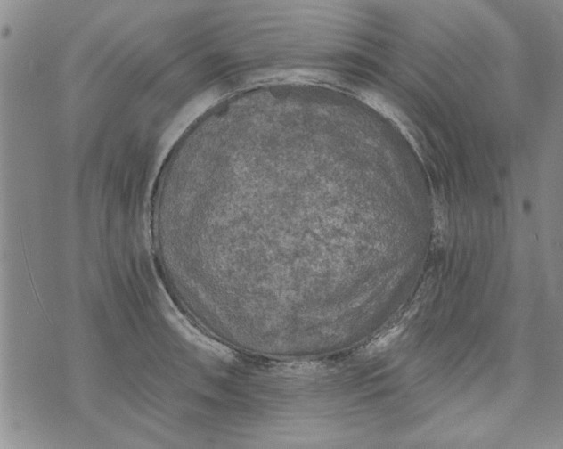 X0000072961090200608041147