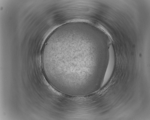 X0000072961092200608041146