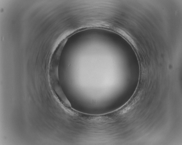 X0000072961093200608041146