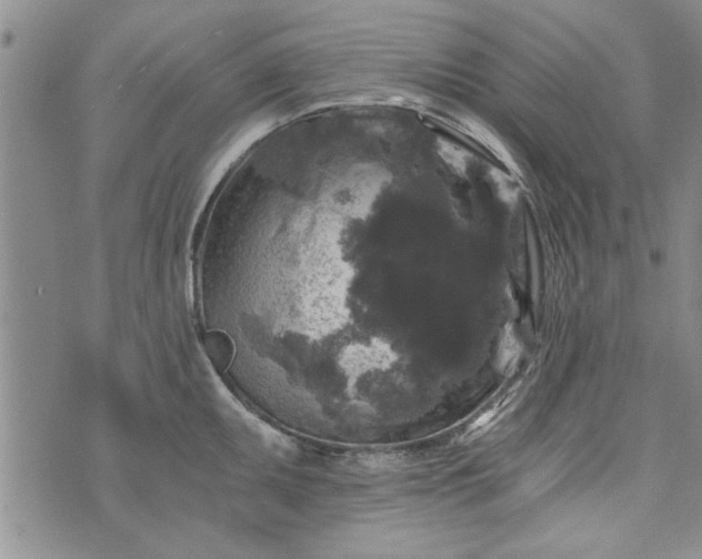 X0000072961095200608041146