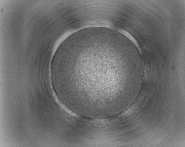 X0000072961096200608041146