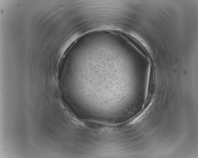 X0000072961097200608041146