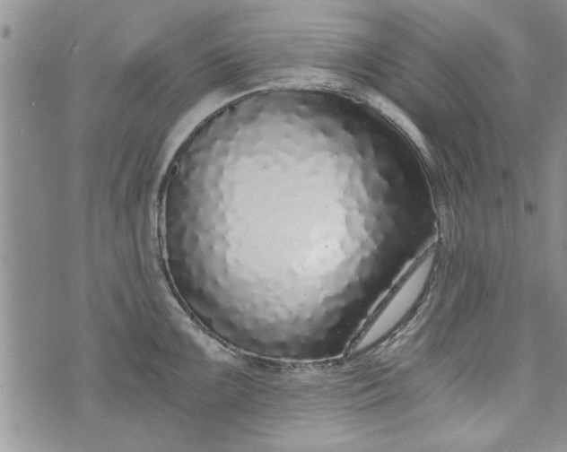 X0000072961099200608041146