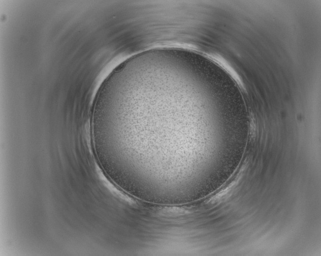 X0000072961100200608041146