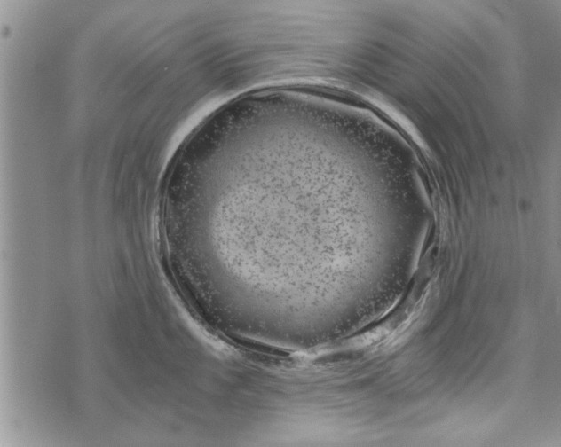 X0000072961101200608041146