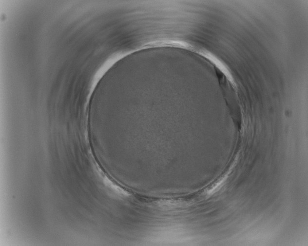 X0000072961102200608041146