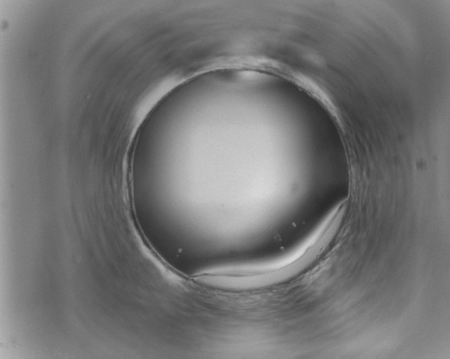 X0000072961103200608041146