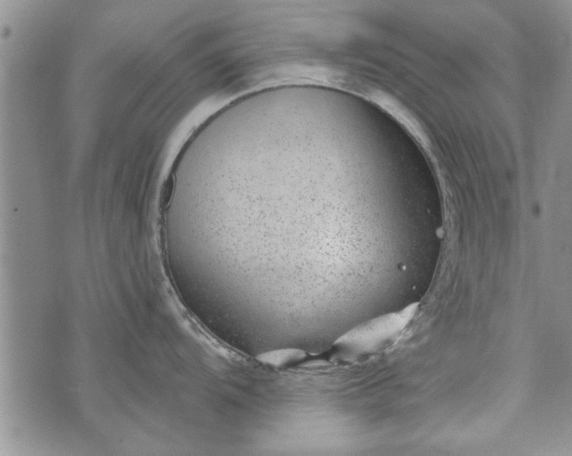 X0000072961104200608041146