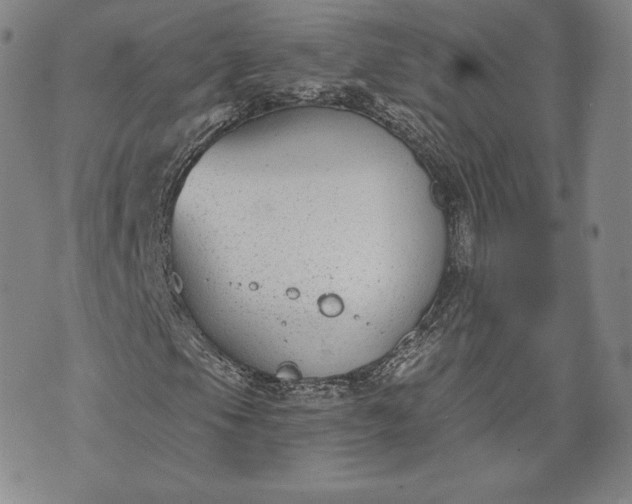 X0000072961105200608041146