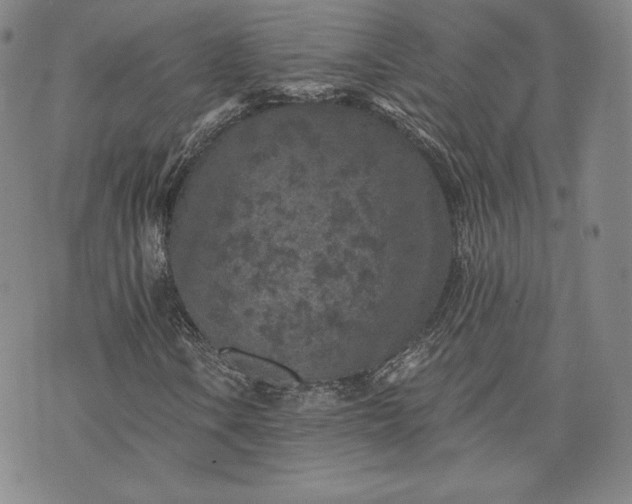 X0000072961106200608041146