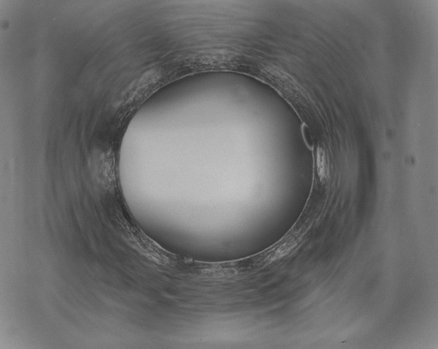 X0000072961107200608041146