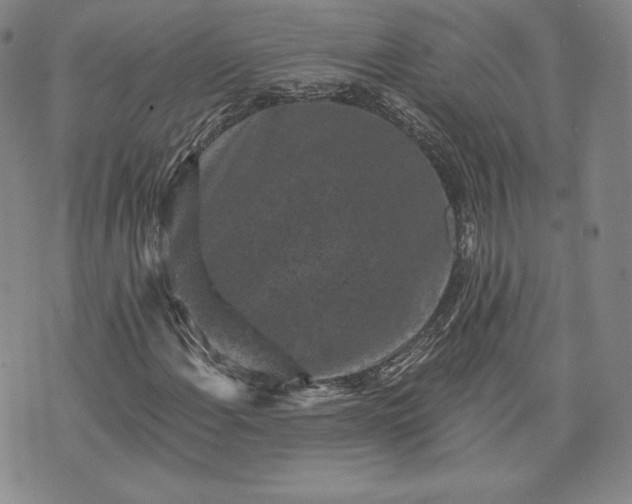 X0000072961108200608041146