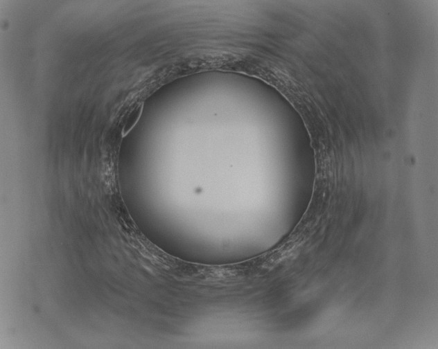 X0000072961109200608041146