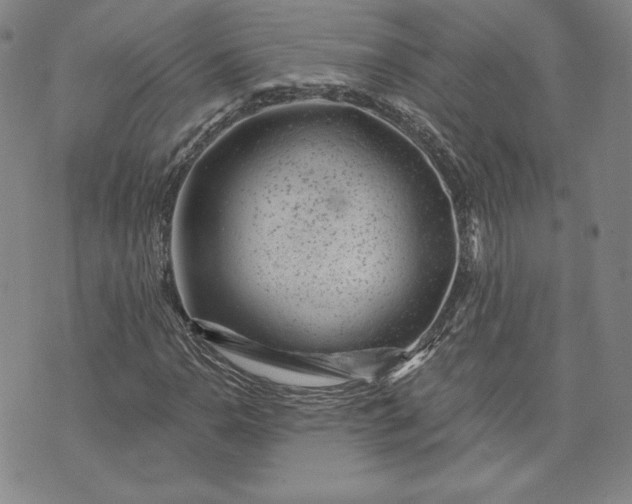 X0000072961110200608041146