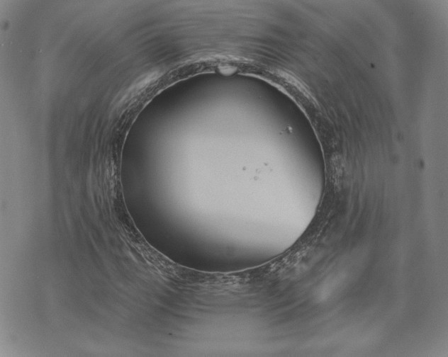 X0000072961111200608041146