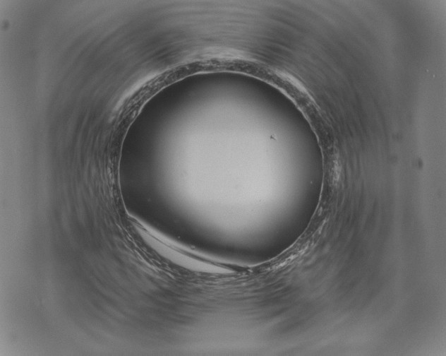 X0000072961112200608041146