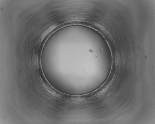 X0000072961113200608041146