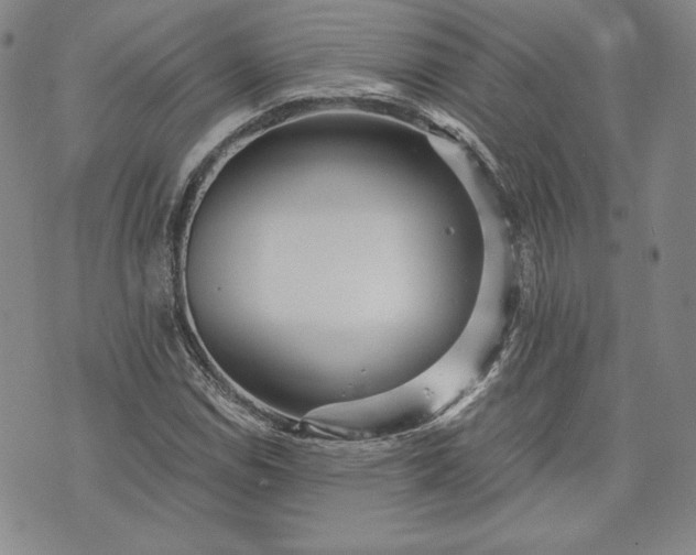 X0000072961114200608041146