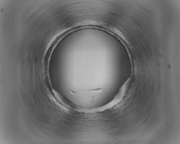 X0000072961116200608041146