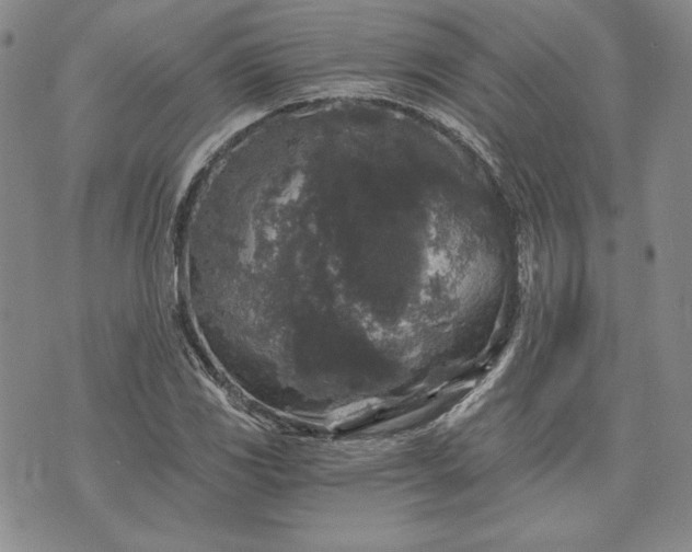 X0000072961117200608041146